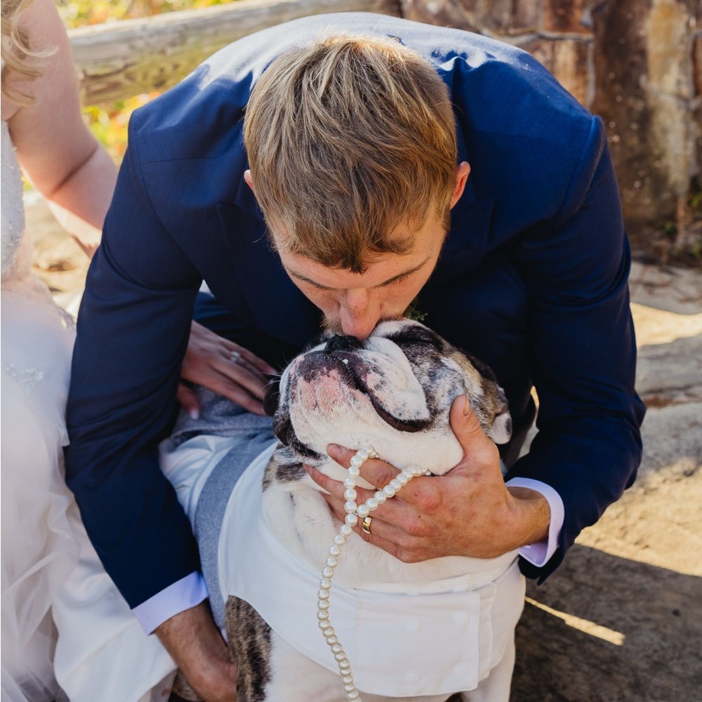 White Dog Dress